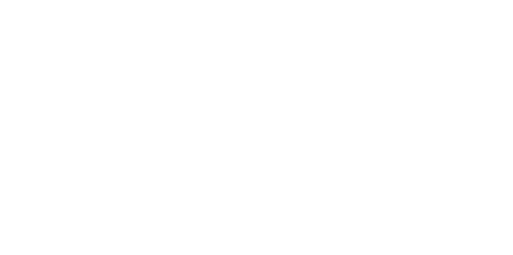 سازمان مهاجرتی دیار